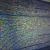 Gold Salem Ransomware Sparks Growing Security Fears